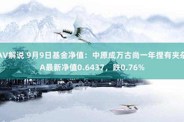 AV解说 9月9日基金净值：中原成万古尚一年捏有夹杂A最新净值0.6437，跌0.76%