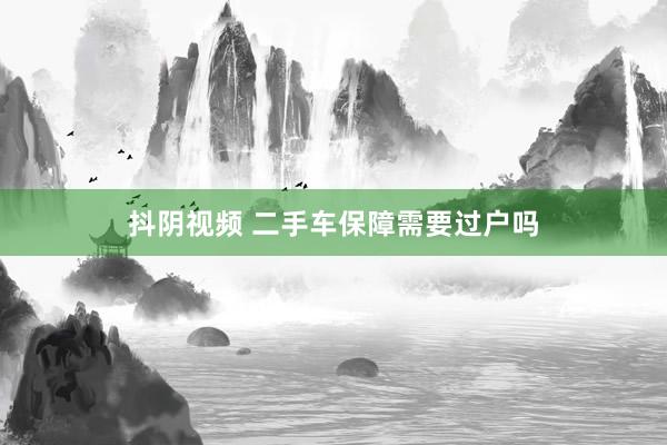 抖阴视频 二手车保障需要过户吗
