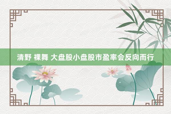 清野 裸舞 大盘股小盘股市盈率会反向而行