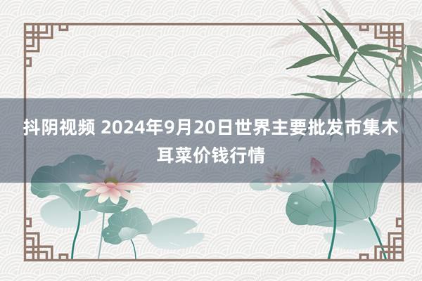 抖阴视频 2024年9月20日世界主要批发市集木耳菜价钱行情