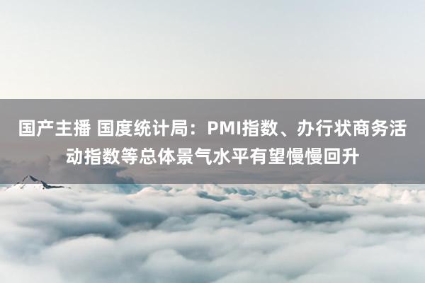 国产主播 国度统计局：PMI指数、办行状商务活动指数等总体景气水平有望慢慢回升