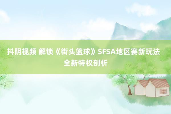 抖阴视频 解锁《街头篮球》SFSA地区赛新玩法  全新特权剖析