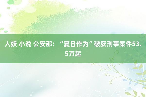 人妖 小说 公安部：“夏日作为”破获刑事案件53.5万起