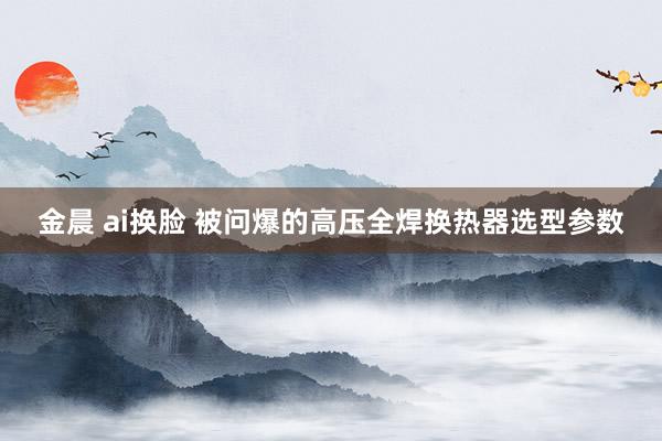金晨 ai换脸 被问爆的高压全焊换热器选型参数