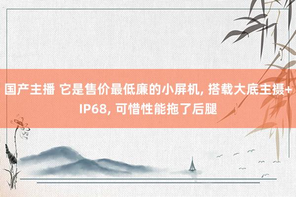 国产主播 它是售价最低廉的小屏机， 搭载大底主摄+IP68， 可惜性能拖了后腿