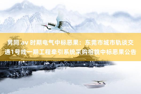 男同 av 时期电气中标恶果：东莞市城市轨谈交通1号线一期工程牵引系统采购相貌中标恶果公告