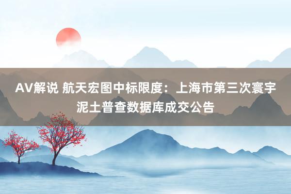 AV解说 航天宏图中标限度：上海市第三次寰宇泥土普查数据库成交公告