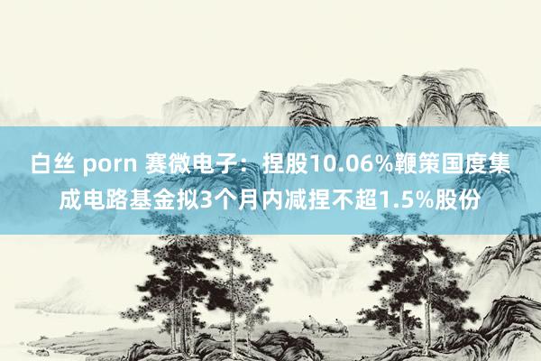 白丝 porn 赛微电子：捏股10.06%鞭策国度集成电路基金拟3个月内减捏不超1.5%股份