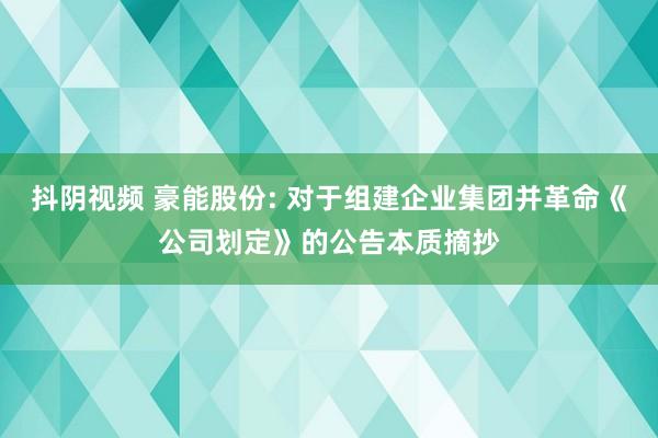 抖阴视频 豪能股份: 对于组建企业集团并革命《公司划定》的公告本质摘抄