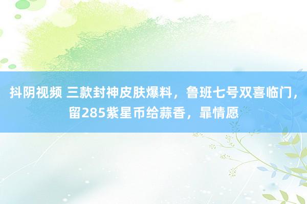 抖阴视频 三款封神皮肤爆料，鲁班七号双喜临门，留285紫星币给蒜香，暃情愿