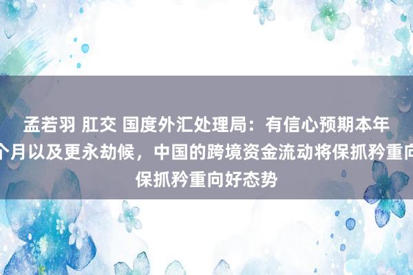 孟若羽 肛交 国度外汇处理局：有信心预期本年明天几个月以及更永劫候，中国的跨境资金流动将保抓矜重向好态势
