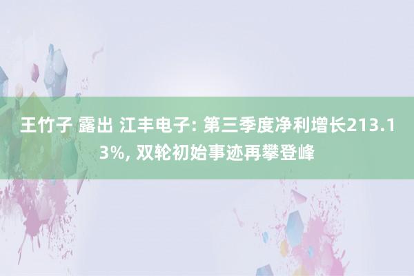 王竹子 露出 江丰电子: 第三季度净利增长213.13%， 双轮初始事迹再攀登峰