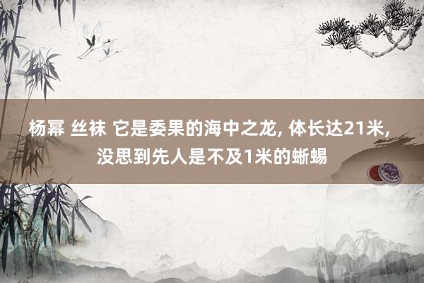 杨幂 丝袜 它是委果的海中之龙， 体长达21米， 没思到先人是不及1米的蜥蜴