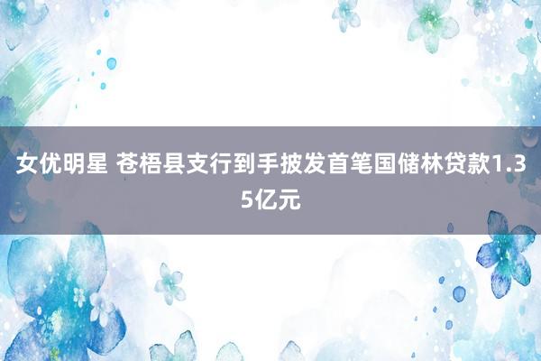 女优明星 苍梧县支行到手披发首笔国储林贷款1.35亿元