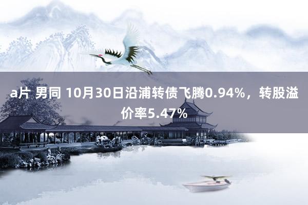 a片 男同 10月30日沿浦转债飞腾0.94%，转股溢价率5.47%
