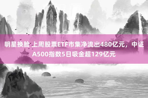明星换脸 上周股票ETF市集净流出480亿元，中证A500指数5日吸金超129亿元