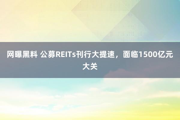 网曝黑料 公募REITs刊行大提速，面临1500亿元大关