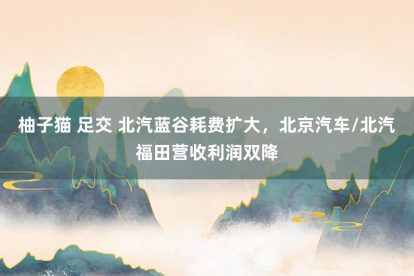柚子猫 足交 北汽蓝谷耗费扩大，北京汽车/北汽福田营收利润双降