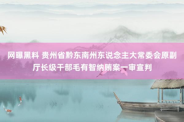 网曝黑料 贵州省黔东南州东说念主大常委会原副厅长级干部毛有智纳贿案一审宣判