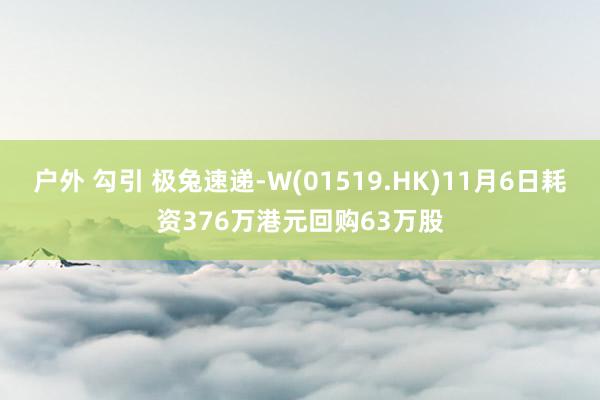 户外 勾引 极兔速递-W(01519.HK)11月6日耗资376万港元回购63万股