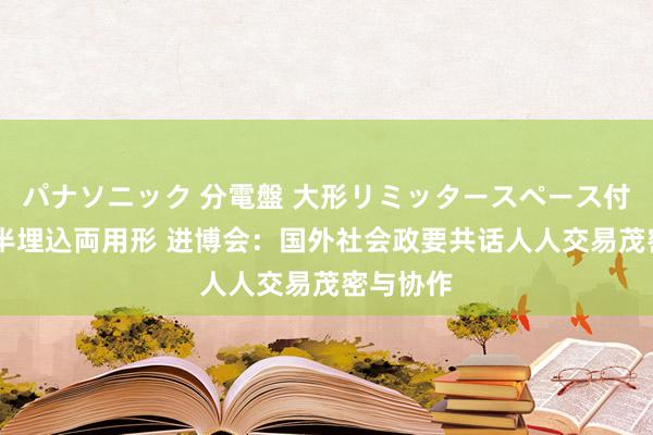 パナソニック 分電盤 大形リミッタースペース付 露出・半埋込両用形 进博会:国外社会政要共话人人交易茂密与协作