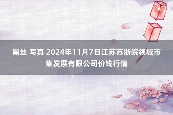 黑丝 写真 2024年11月7日江苏苏浙皖领域市集发展有限公司价钱行情