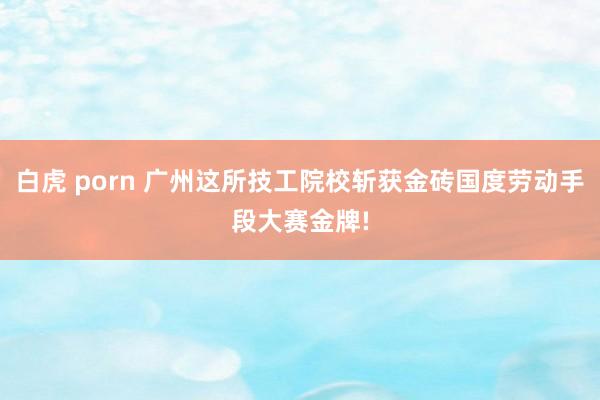 白虎 porn 广州这所技工院校斩获金砖国度劳动手段大赛金牌!