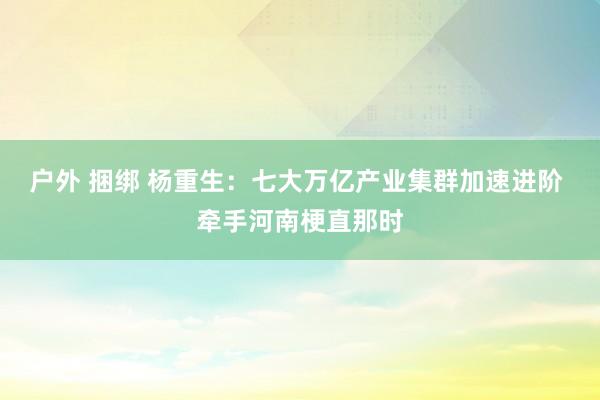 户外 捆绑 杨重生：七大万亿产业集群加速进阶 牵手河南梗直那时