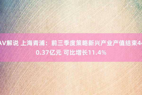 AV解说 上海青浦：前三季度策略新兴产业产值结束440.37亿元 可比增长11.4%