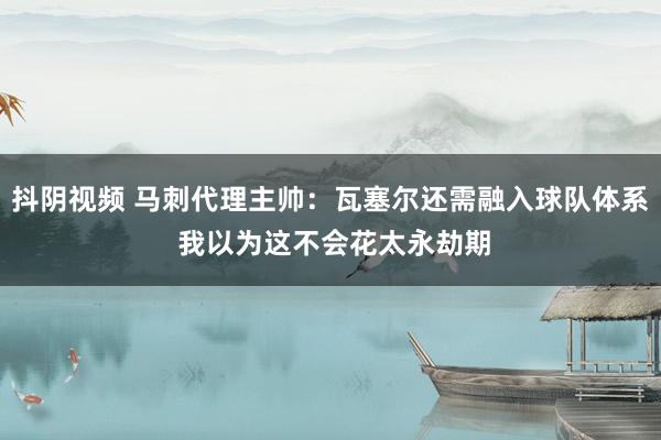 抖阴视频 马刺代理主帅：瓦塞尔还需融入球队体系 我以为这不会花太永劫期