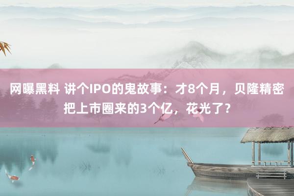 网曝黑料 讲个IPO的鬼故事：才8个月，贝隆精密把上市圈来的3个亿，花光了？