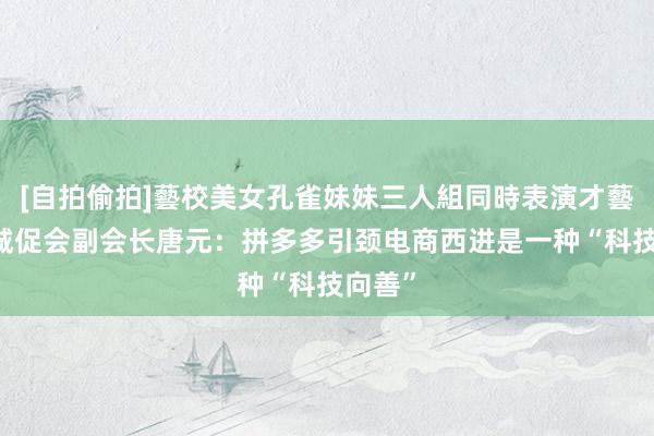 [自拍偷拍]藝校美女孔雀妹妹三人組同時表演才藝 中国城促会副会长唐元：拼多多引颈电商西进是一种“科技向善”