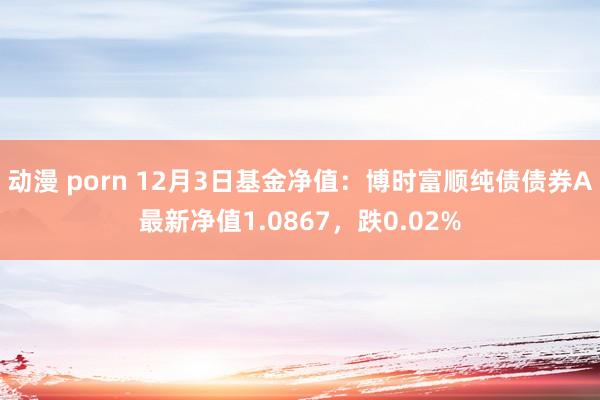 动漫 porn 12月3日基金净值：博时富顺纯债债券A最新净值1.0867，跌0.02%