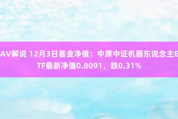 AV解说 12月3日基金净值：中原中证机器东说念主ETF最新净值0.8091，跌0.31%