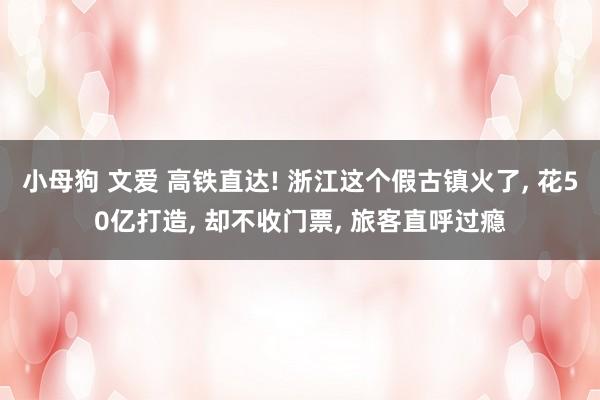 小母狗 文爱 高铁直达! 浙江这个假古镇火了， 花50亿打造， 却不收门票， 旅客直呼过瘾