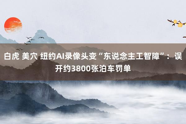 白虎 美穴 纽约AI录像头变“东说念主工智障”：误开约3800张泊车罚单