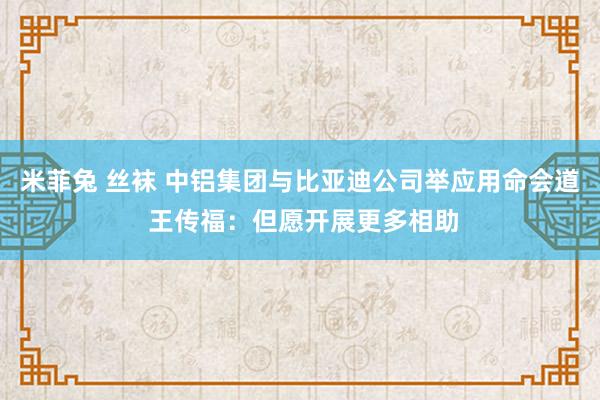 米菲兔 丝袜 中铝集团与比亚迪公司举应用命会道 王传福：但愿开展更多相助