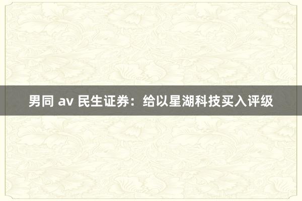 男同 av 民生证券：给以星湖科技买入评级