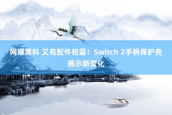 网曝黑料 又有配件袒露！Switch 2手柄保护壳揭示新变化