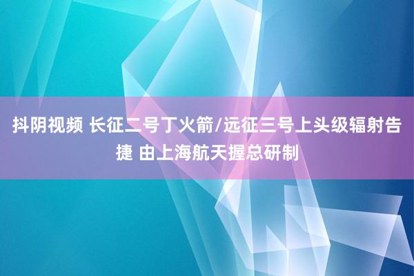 抖阴视频 长征二号丁火箭/远征三号上头级辐射告捷 由上海航天握总研制
