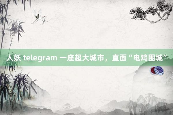 人妖 telegram 一座超大城市，直面“电鸡围城”