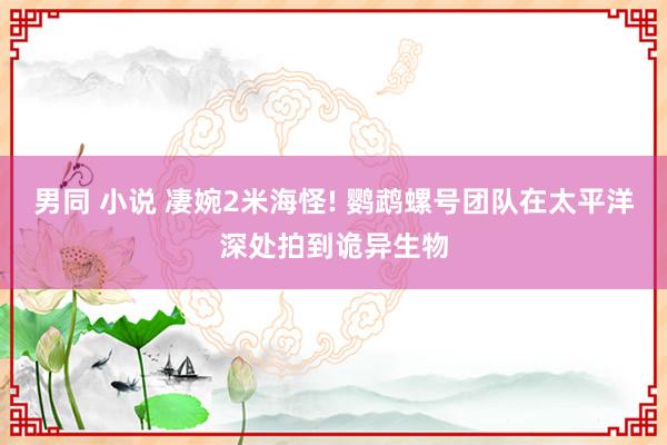 男同 小说 凄婉2米海怪! 鹦鹉螺号团队在太平洋深处拍到诡异生物