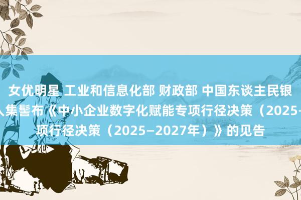 女优明星 工业和信息化部 财政部 中国东谈主民银行 金融监管总局王人集髻布《中小企业数字化赋能专项行径决策（2025—2027年）》的见告