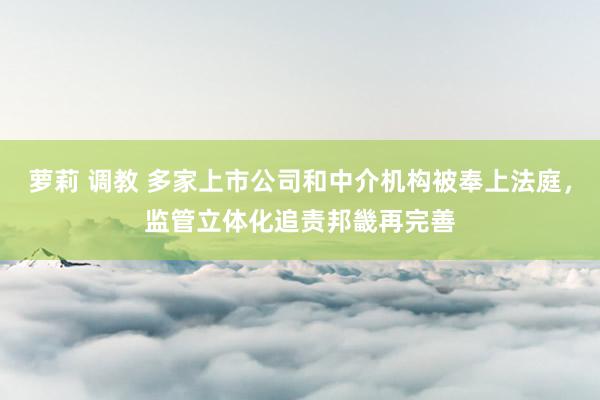 萝莉 调教 多家上市公司和中介机构被奉上法庭，监管立体化追责邦畿再完善