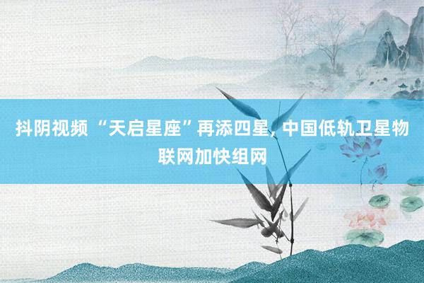 抖阴视频 “天启星座”再添四星， 中国低轨卫星物联网加快组网
