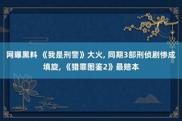 网曝黑料 《我是刑警》大火， 同期3部刑侦剧惨成填旋， 《猎罪图鉴2》最赔本