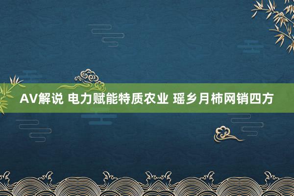 AV解说 电力赋能特质农业 瑶乡月柿网销四方
