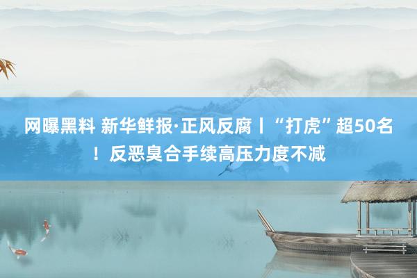 网曝黑料 新华鲜报·正风反腐丨“打虎”超50名！反恶臭合手续高压力度不减