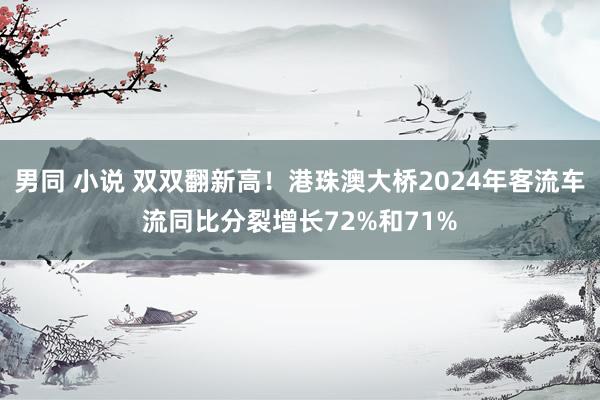 男同 小说 双双翻新高！港珠澳大桥2024年客流车流同比分裂增长72%和71%
