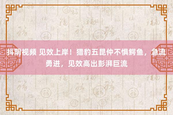 抖阴视频 见效上岸！猎豹五昆仲不惧鳄鱼，急流勇进，见效高出彭湃巨流